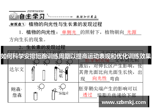 如何科学安排短跑训练周期以提高运动表现和优化训练效果