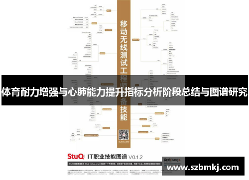 体育耐力增强与心肺能力提升指标分析阶段总结与图谱研究